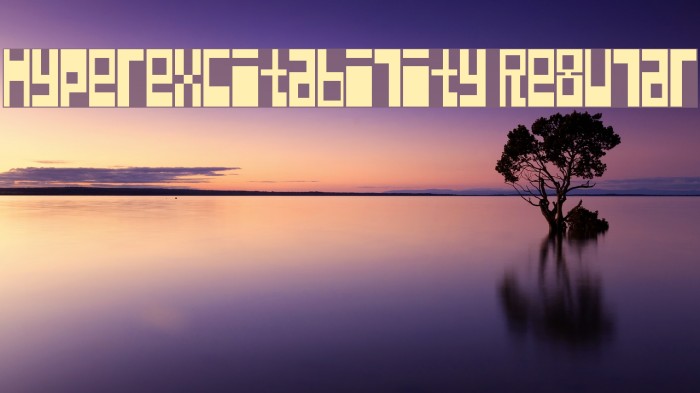 Hyperexcitability Regular Font examples