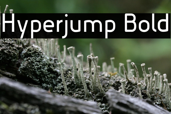 Hyperjump Bold Example 3