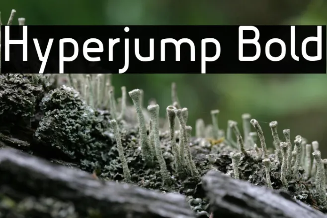 Hyperjump Bold Example 3