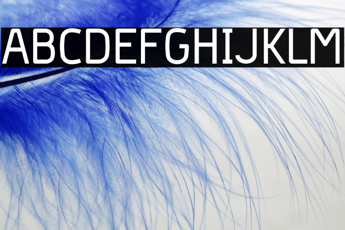 Hyperjump-Bold Example 2