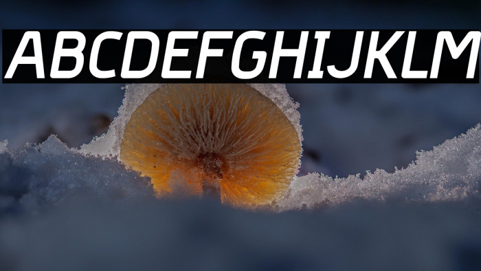 Hyperjump-ExtraBoldOblique Example 2