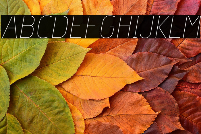 Hyperjump-HairlineOblique Example 1