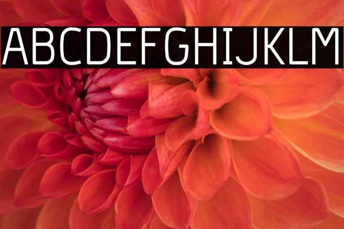 Hyperjump-Regular Example 1