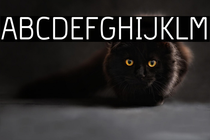 Hyperjump-Regular Example 3