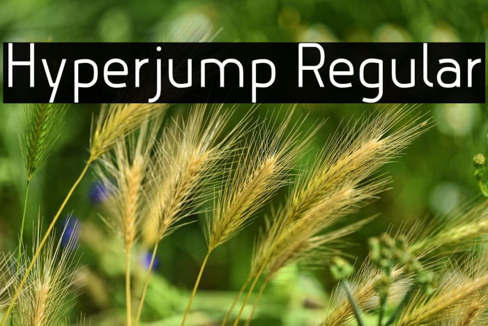 Hyperjump Regular Example 2