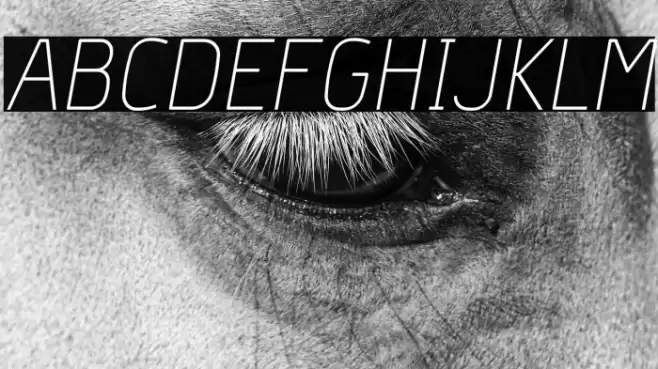 Hyperjump-ThinOblique Font examples