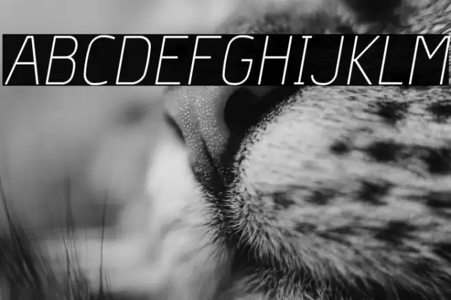 Hyperjump-ThinOblique Font examples