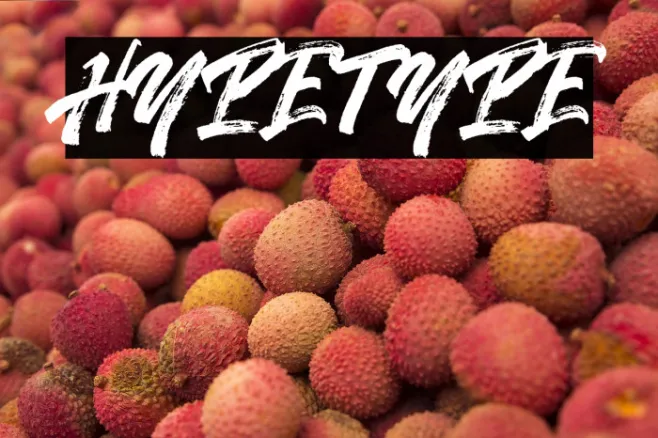 Hypetype Example 1