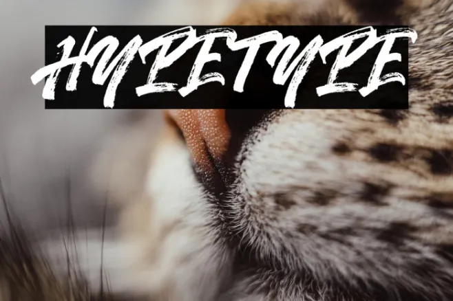 Hypetype Example 3