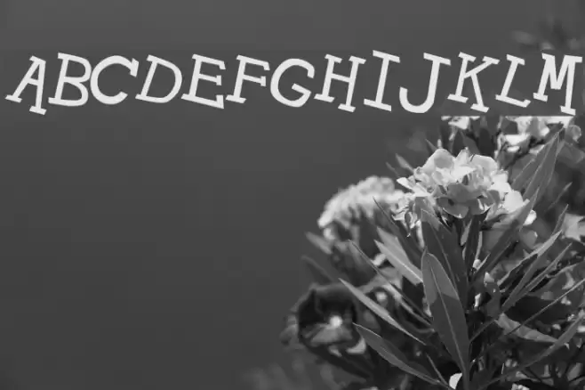 Hypewriter Italic Шрифта examples