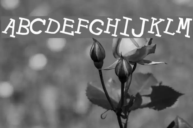 Hypewriter Italic Шрифта examples