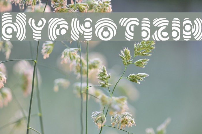 Hypmotizin Example 1