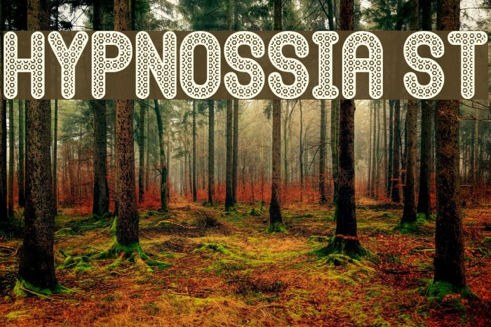 Hypnossia St Font examples