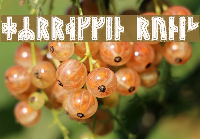 Hyrrokkin Runic Example 2