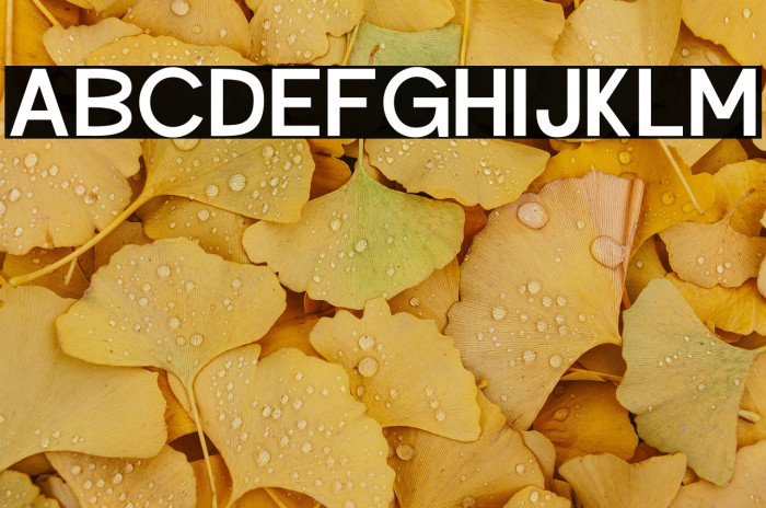 Hysteria Rollers Personal Use Sans Serif Example 3