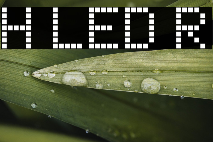 Hyundai LED Regular Example 3