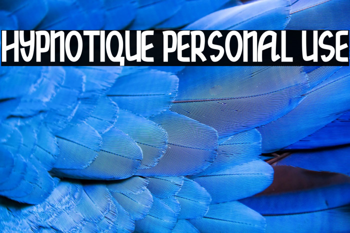 hypnotique personal use Example 2