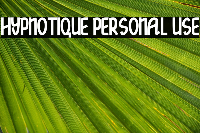 hypnotique personal use Example 3