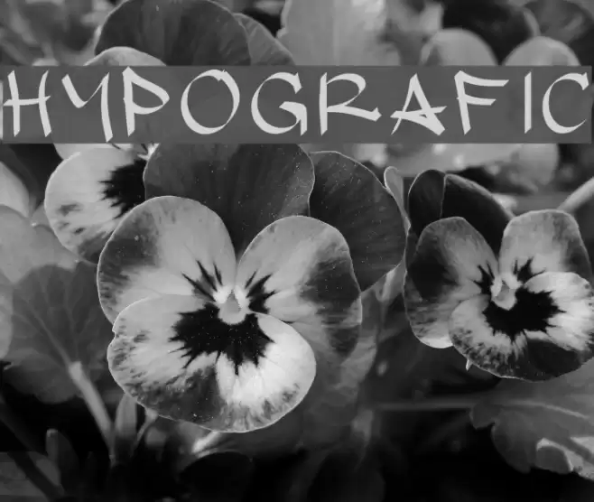 hypografic Font examples