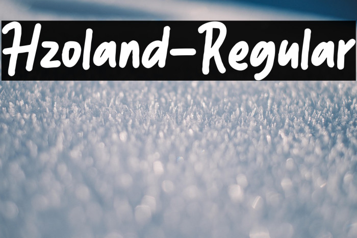 Hzoland-Regular Example 1