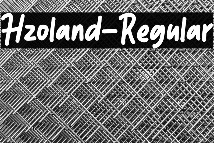 Hzoland-Regular Example 3