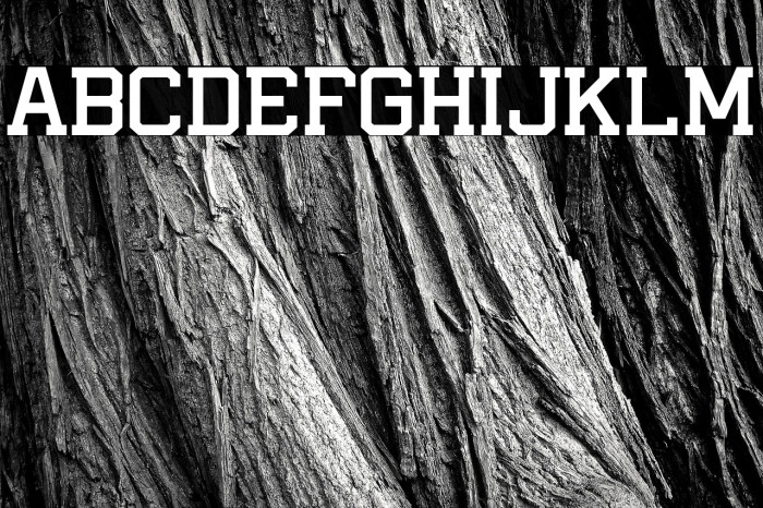 I AM A PLAYER Example 1