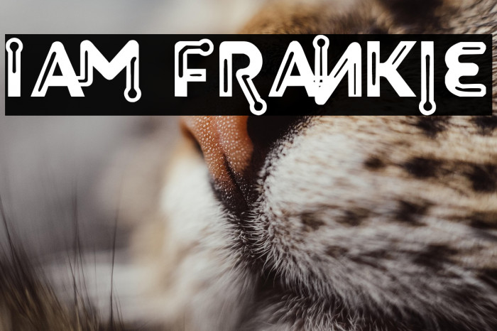 I Am Frankie Example 1