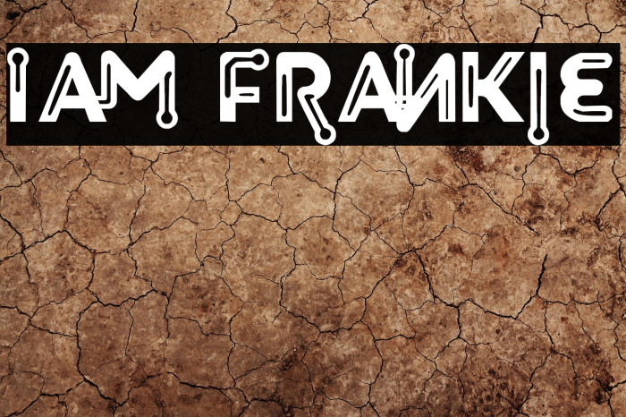 I Am Frankie Example 3