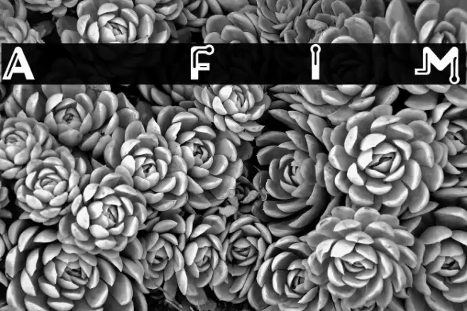 I Am Frankie Font examples