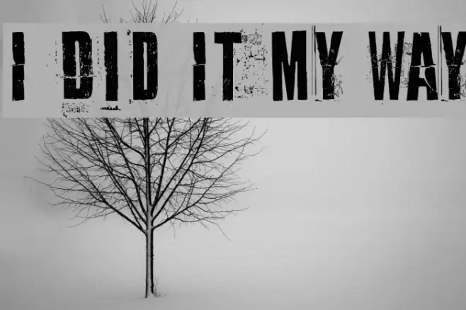 I Did It My Way Fonte examples