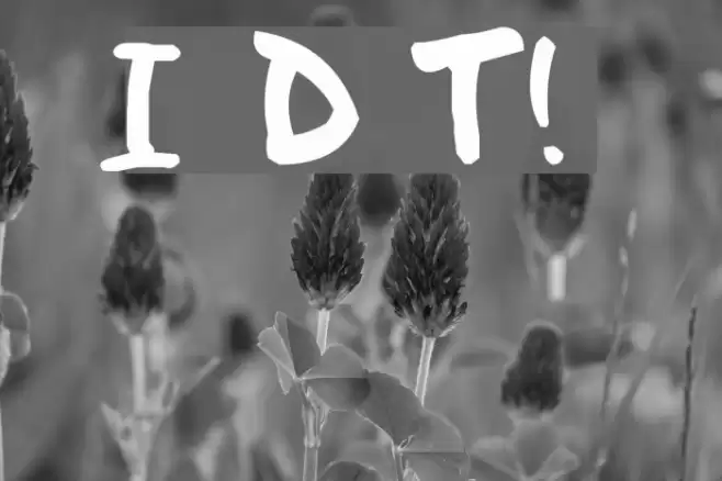 I Did This! Font examples