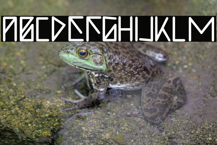 I Love Arrow Example 2