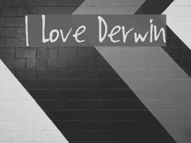I Love Derwin Caratteri examples