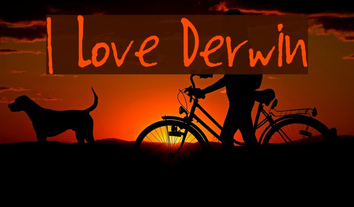 I Love Derwin Caratteri examples