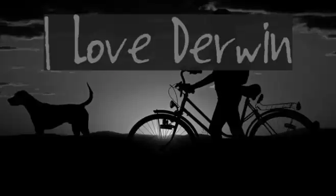 I Love Derwin Caratteri examples