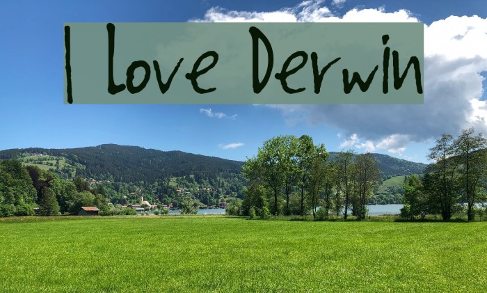 I Love Derwin Caratteri examples