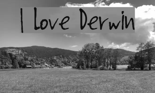 I Love Derwin Caratteri examples