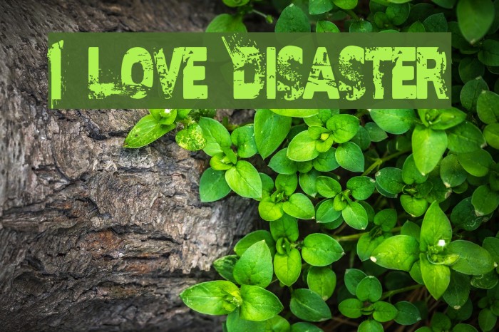 I Love Disaster Example 1