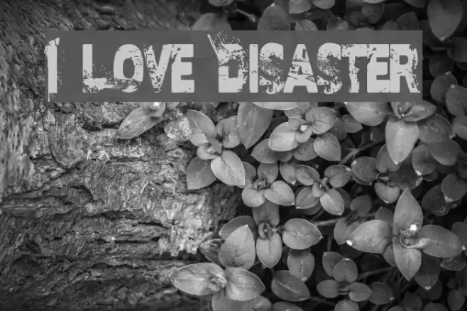I Love Disaster Font examples