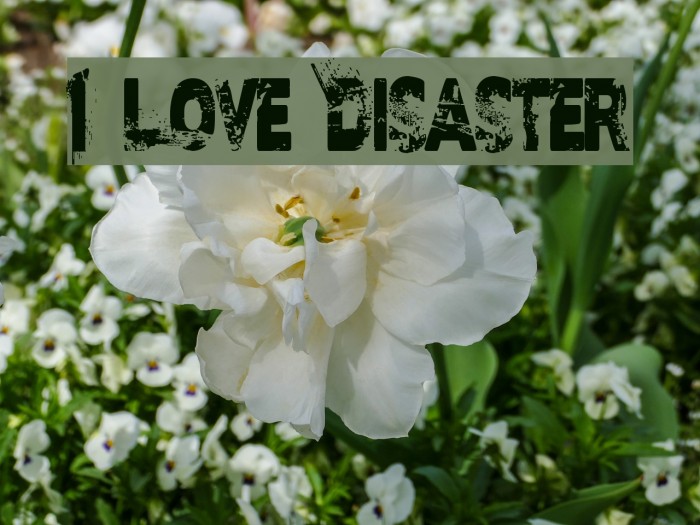 I Love Disaster Example 2