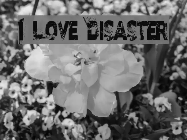 I Love Disaster Font examples