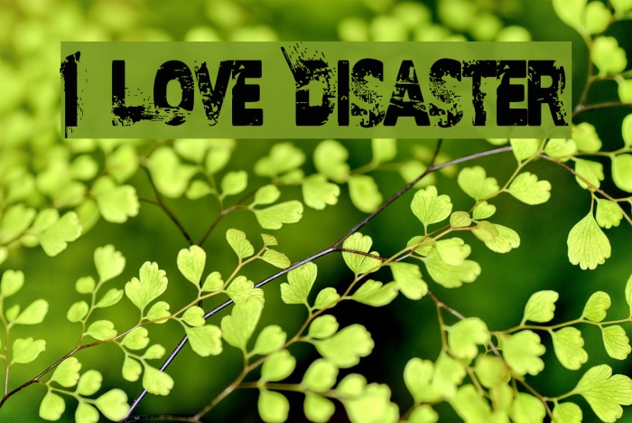 I Love Disaster Example 3