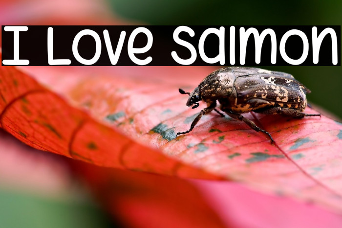 I Love Salmon Font examples