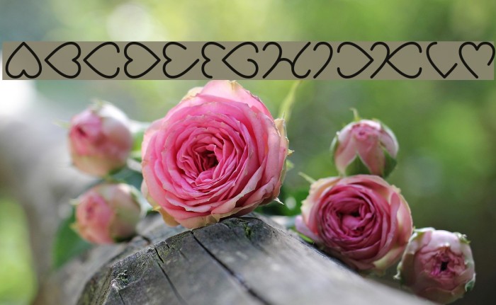 I Love You-Light Font examples