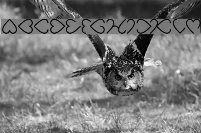 I Love You-Light Font examples