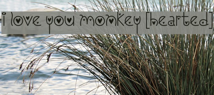 I Love You Monkey [Hearted] Example 1