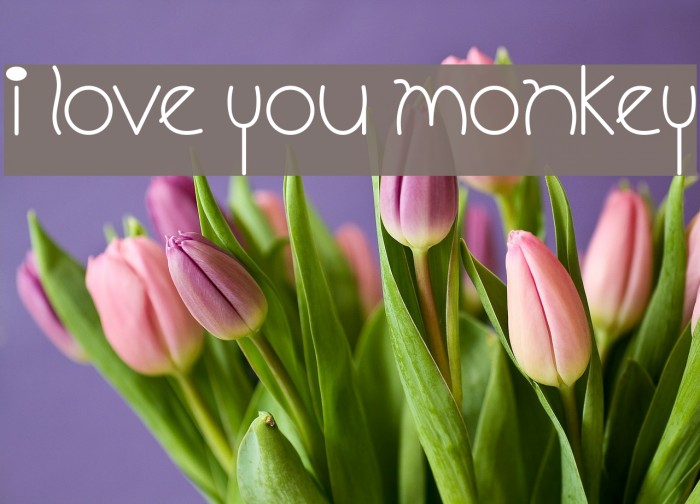 I Love You Monkey Font examples