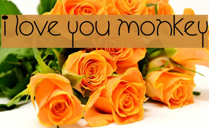 I Love You Monkey Font examples