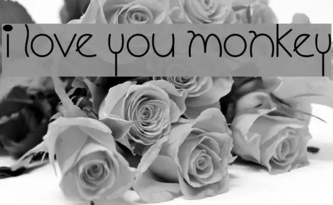 I Love You Monkey Font examples