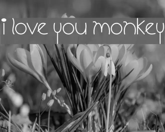 I Love You Monkey Font examples